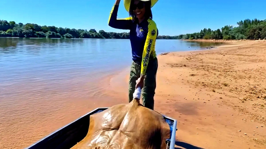 Pescadora fisga arraia gigante no Araguaia